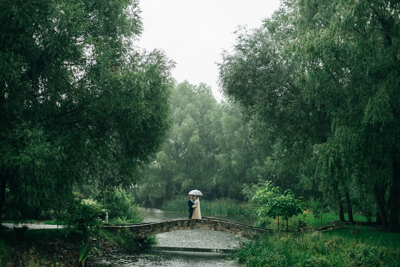 Magical Forest Backdrops